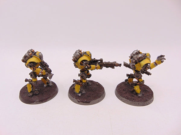 Thallax Cohort