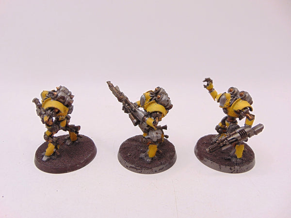 Thallax Cohort
