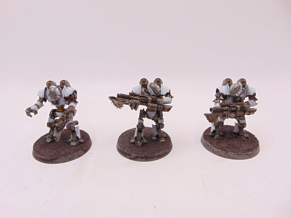 Thallax Cohort