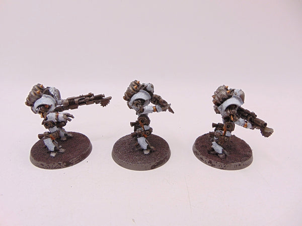 Thallax Cohort