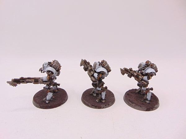 Thallax Cohort