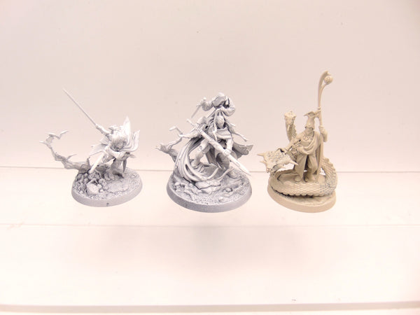 Blades of the Hollow King