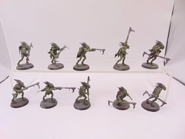 Kroot Carnivores
