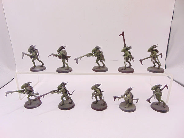 Kroot Carnivores