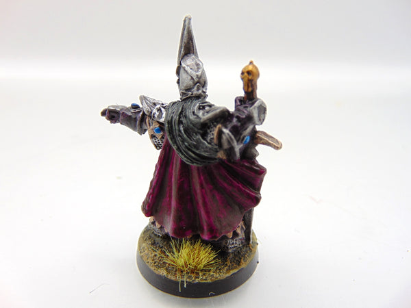 Dark Elf Champion