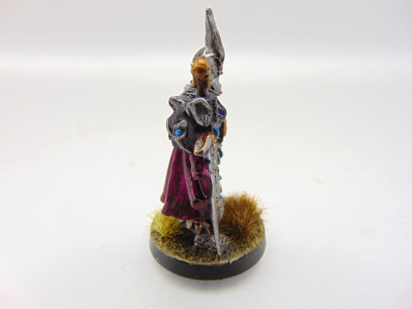 Dark Elf Champion
