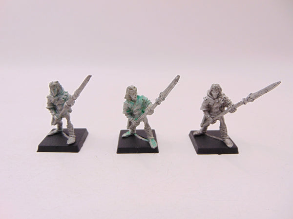 Wood Elf Warriors with Spear / Glade Guard