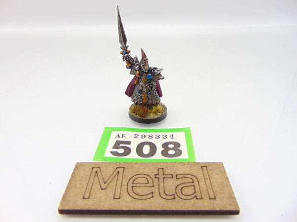 Dark Elf Champion