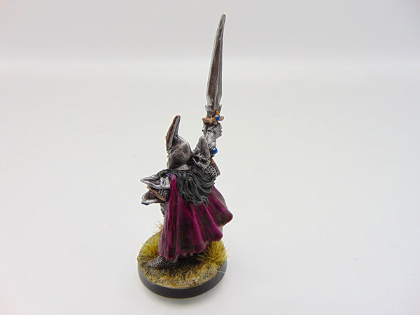 Dark Elf Champion