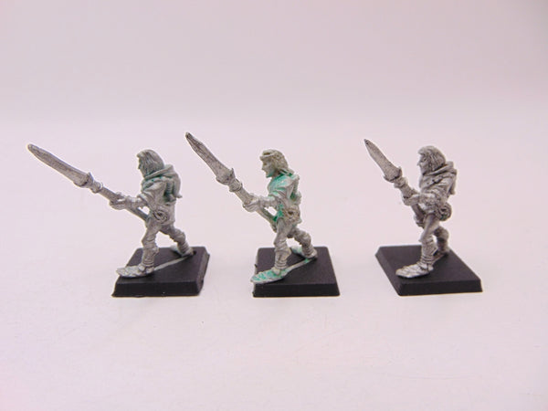 Wood Elf Warriors with Spear / Glade Guard