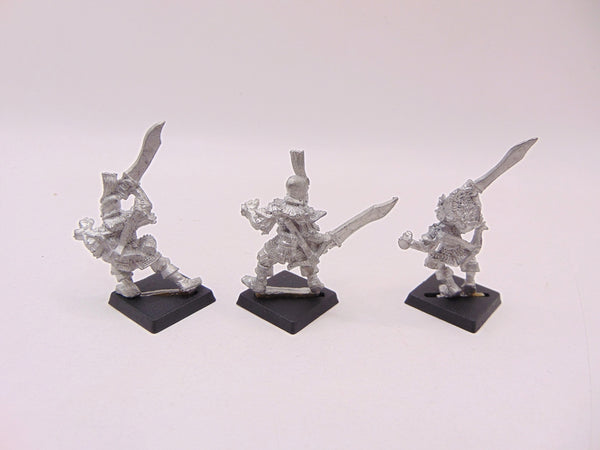 Dark Elf Warriors