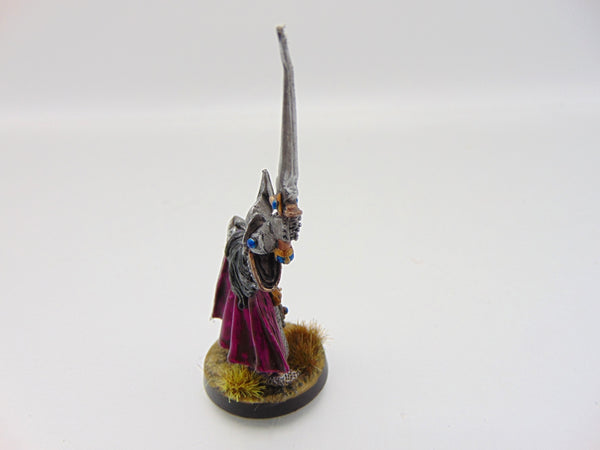 Dark Elf Champion