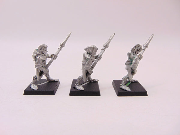 Wood Elf Warriors with Spear / Glade Guard