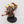 Dark Apostle