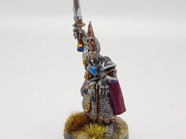 Dark Elf Champion