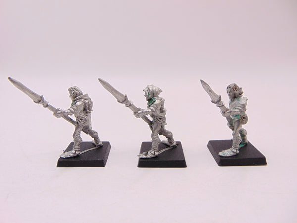 Wood Elf Warriors with Spear / Glade Guard