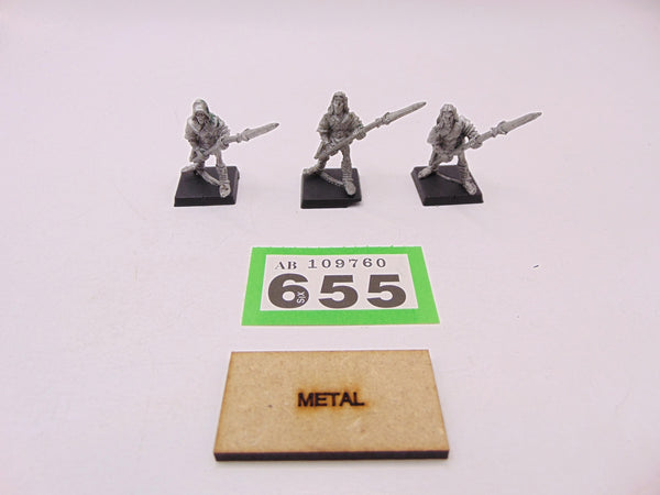 Wood Elf Warriors with Spear / Glade Guard