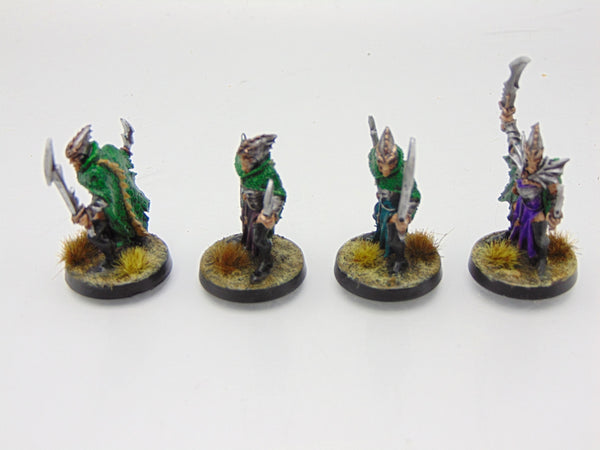 Dark Elf Corsairs
