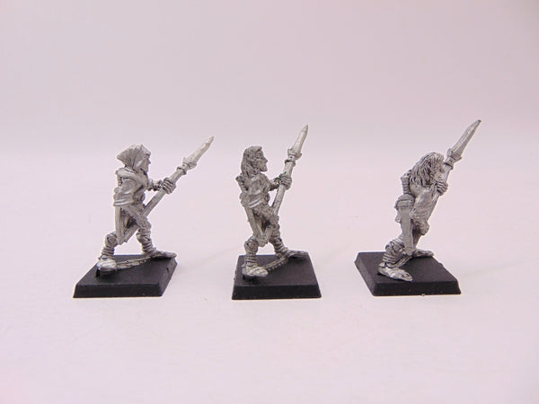 Wood Elf Warriors with Spear / Glade Guard