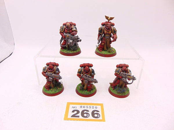 Sternguard Veteran Squad