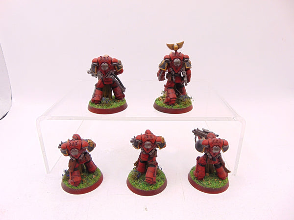 Sternguard Veteran Squad