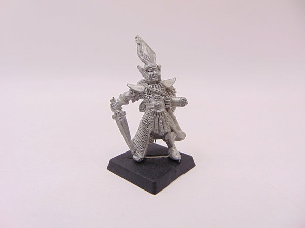C09 Dark Elf Swordsman