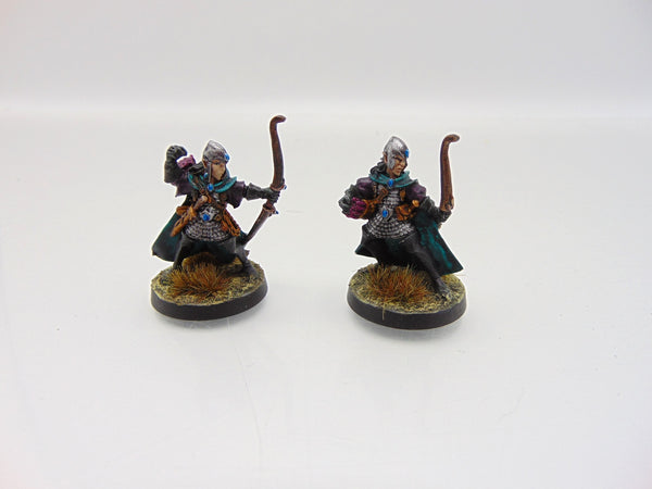 High Elf Shadow Warriors