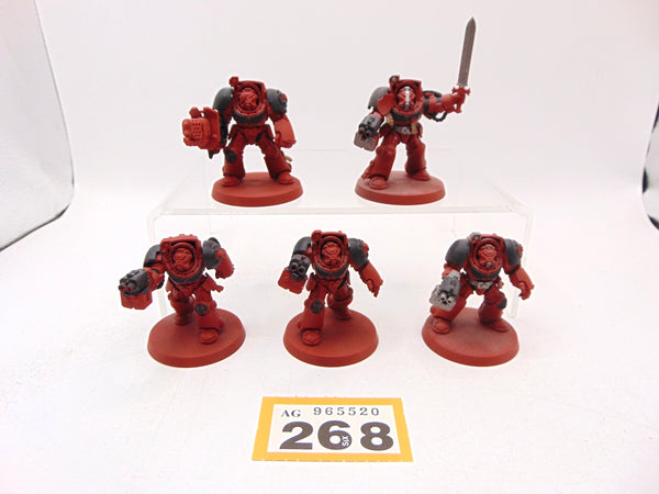 Terminator Squad