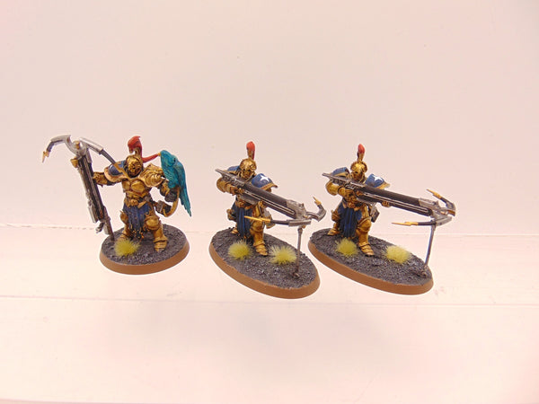 Vanguard Raptors