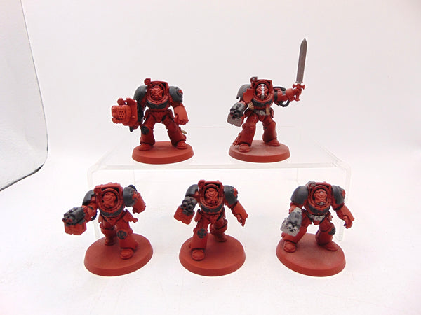 Terminator Squad