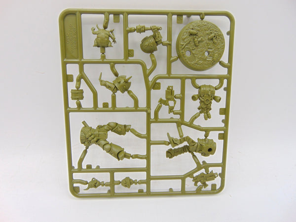 Kholerus