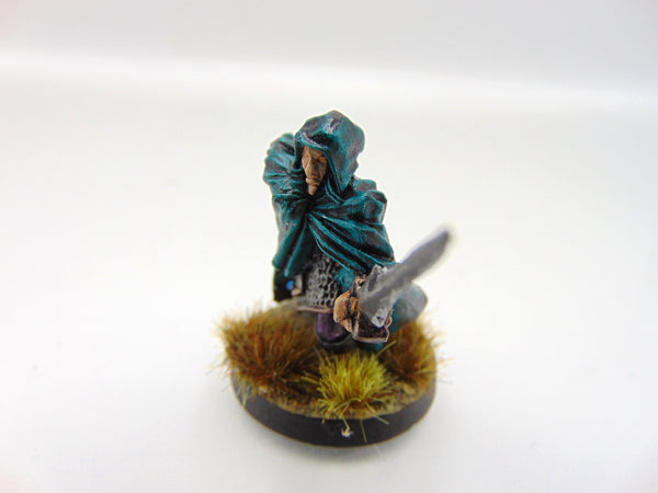 Dark Elf Assassin