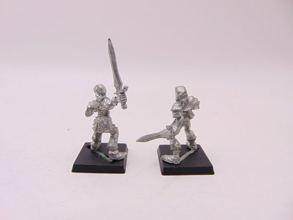 Citadel Elf5 Elf Warriors  - Gwyddion & Eidyn
