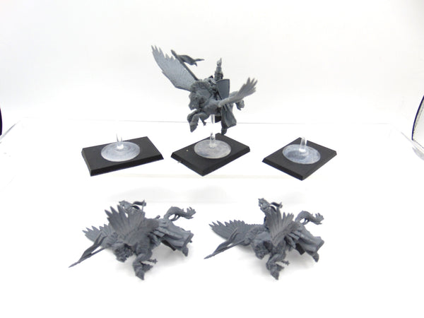 Pegasus Knights