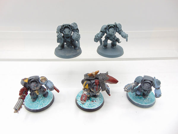 Wolf Guard Terminators