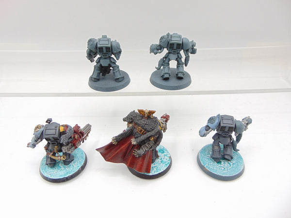 Wolf Guard Terminators