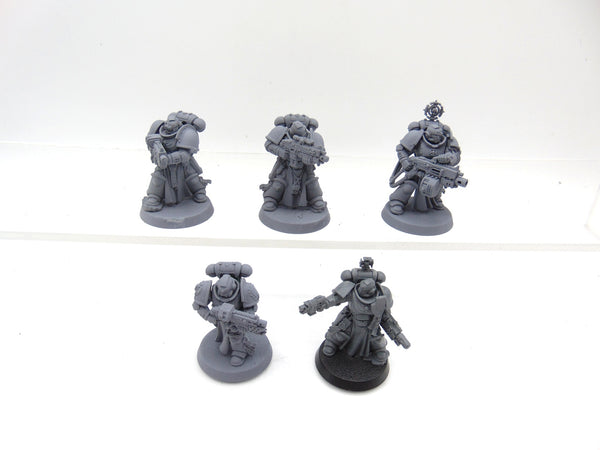 Sternguard Veterans