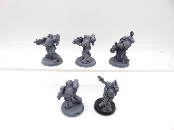 Sternguard Veterans