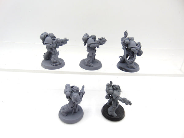 Sternguard Veterans