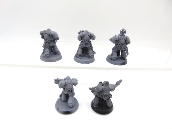 Sternguard Veterans