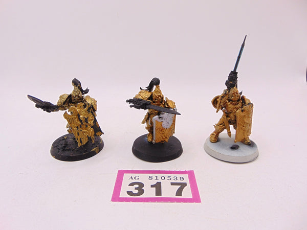 Custodian Guard