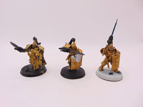 Custodian Guard