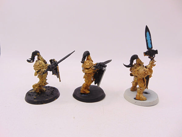 Custodian Guard