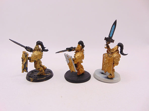 Custodian Guard