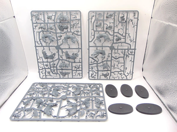 Black Knights / Hexwraiths