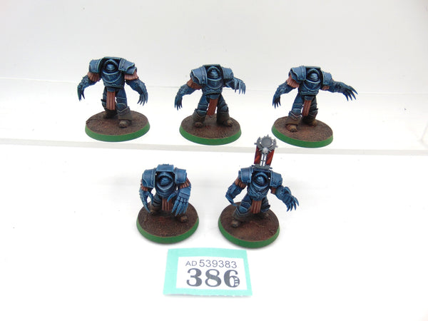 Cataphractii Terminator Squad