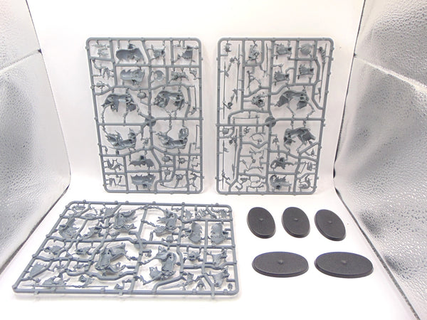 Black Knights / Hexwraiths