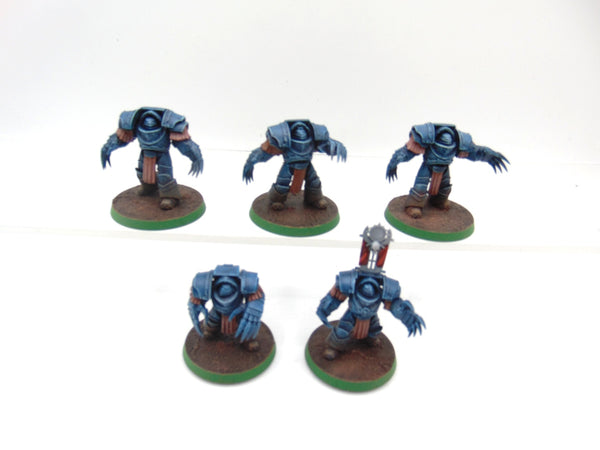 Cataphractii Terminator Squad