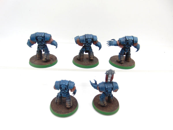 Cataphractii Terminator Squad