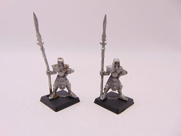 Elf Warriors with Spear